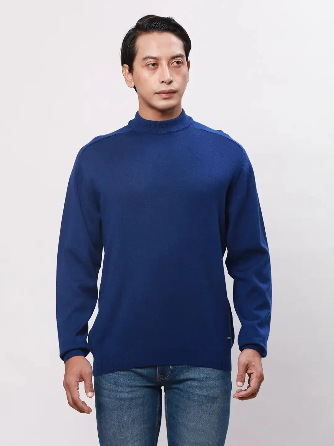 Park Avenue Men Blue Solid Regular Wool Blend Full Sleeve Pullover