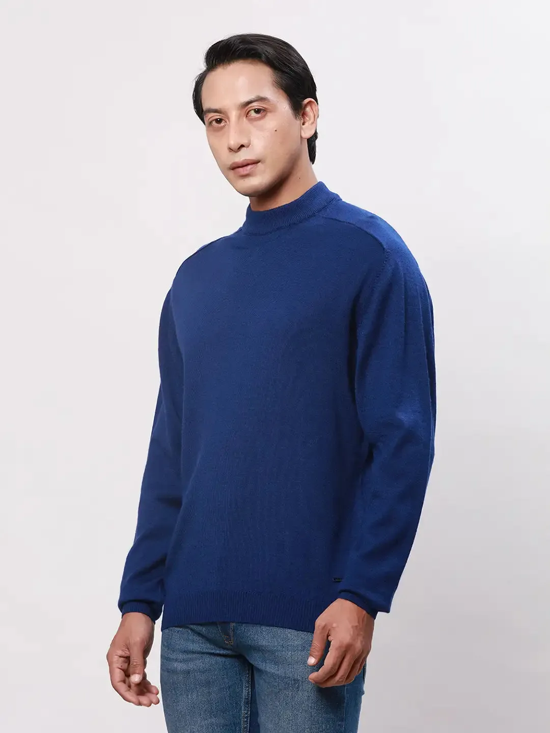 Park Avenue Men Blue Solid Regular Wool Blend Full Sleeve Pullover
