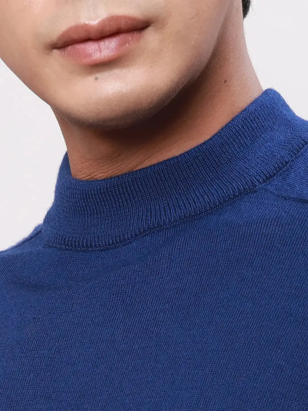 Park Avenue Men Blue Solid Regular Wool Blend Full Sleeve Pullover