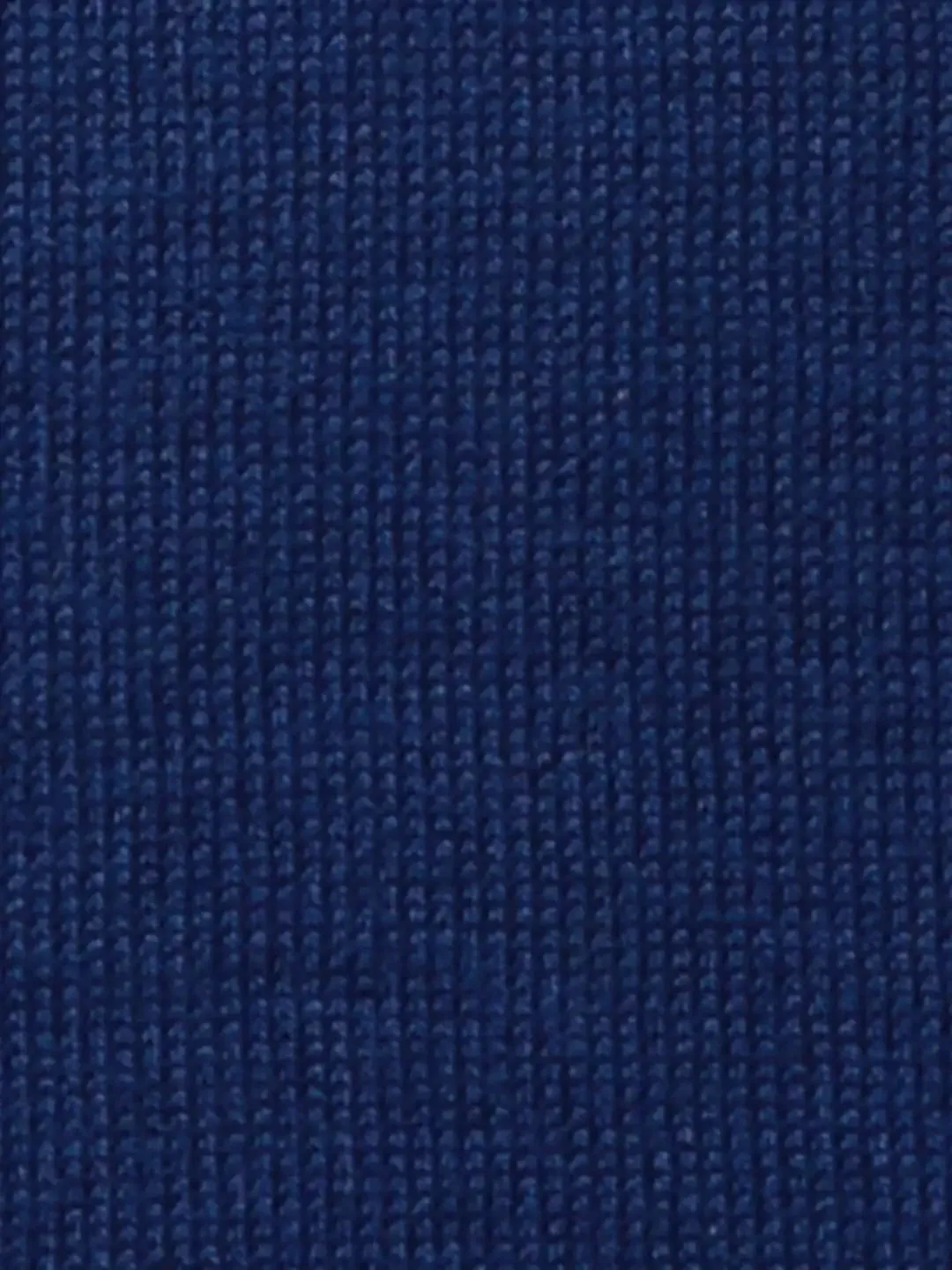Park Avenue Men Blue Solid Regular Wool Blend Full Sleeve Pullover